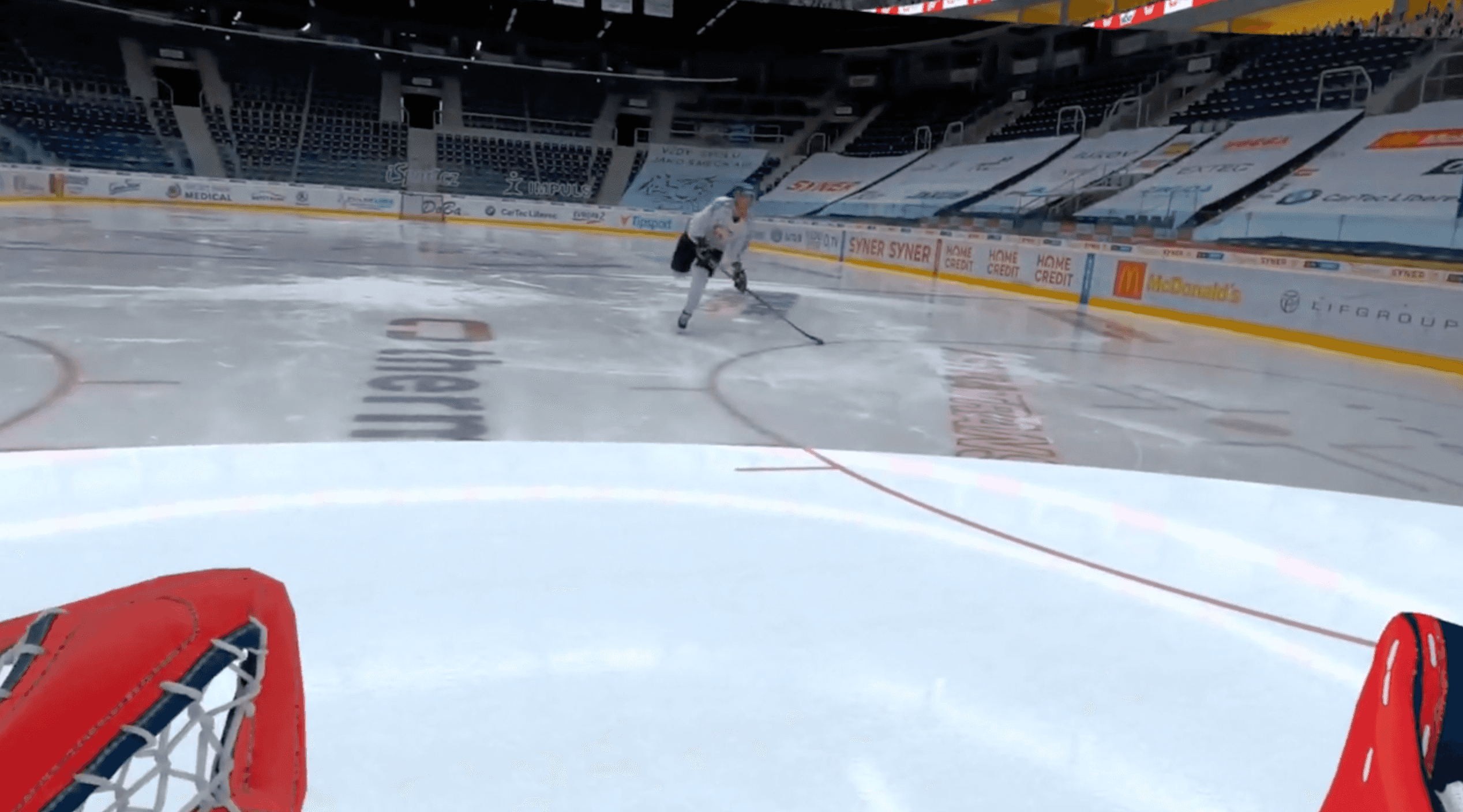 Hide and seek (Goalies) cover image