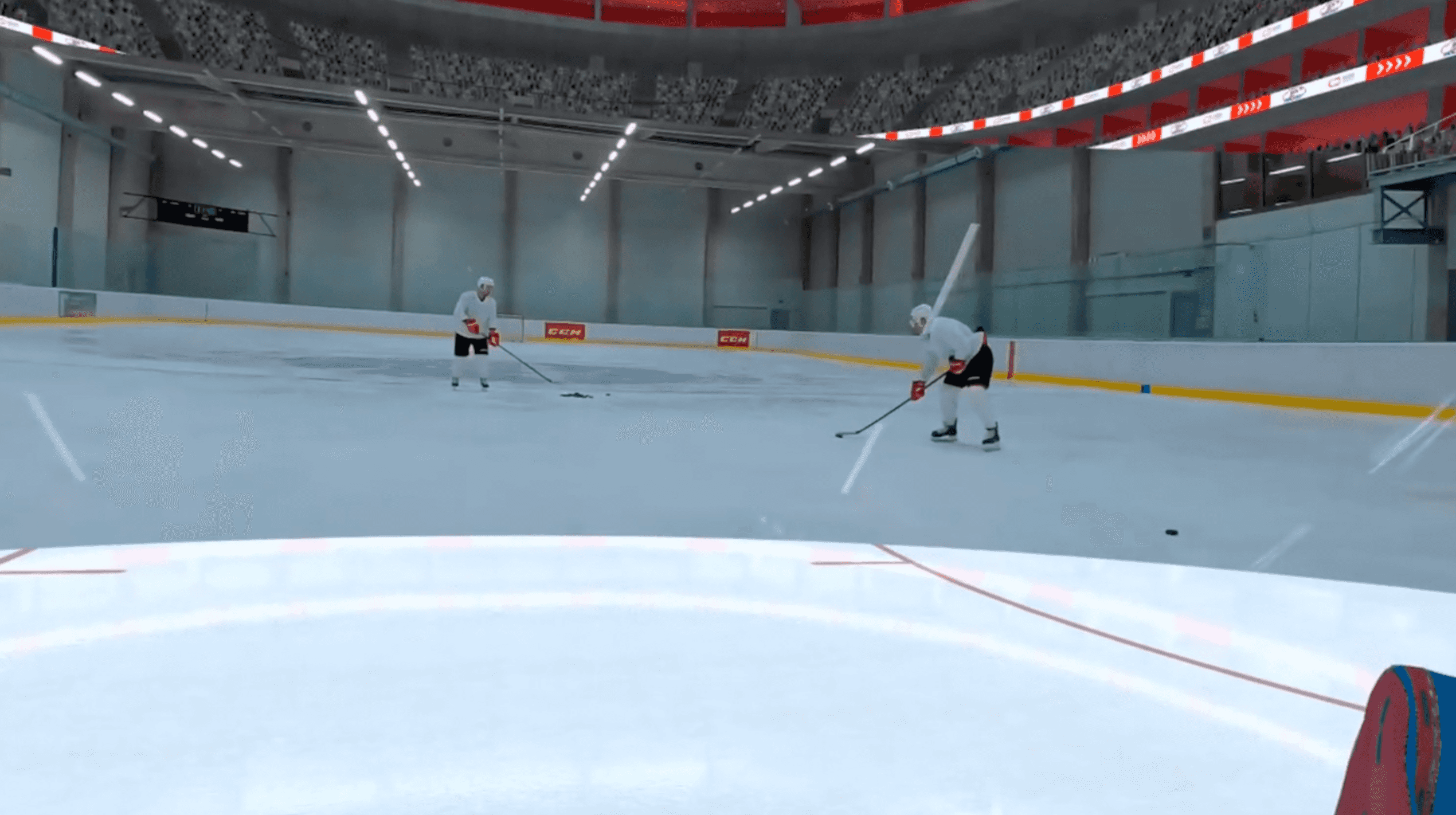 Pro circuit (Goalies) cover image