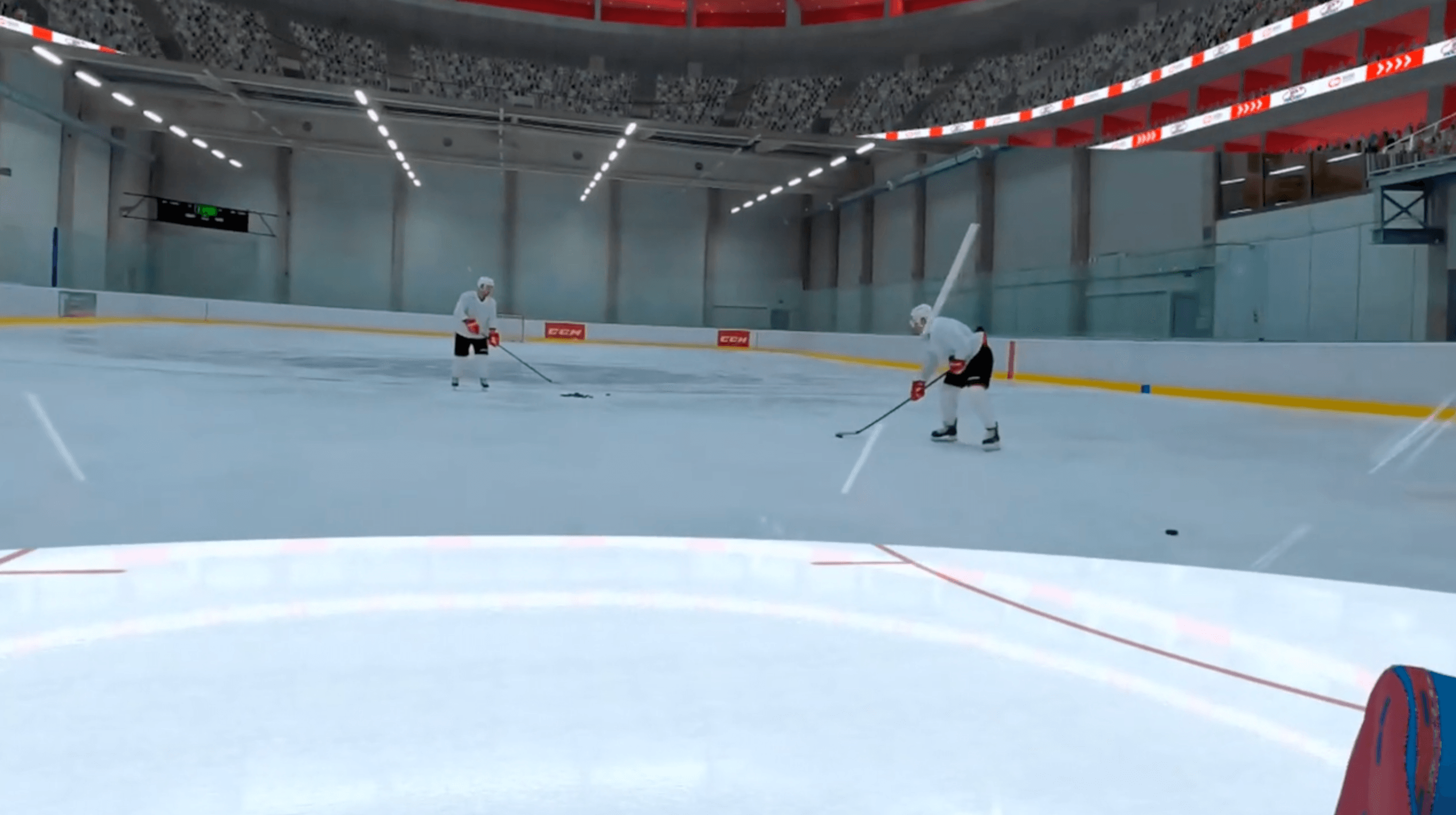 Pro circuit (Goalies) cover image
