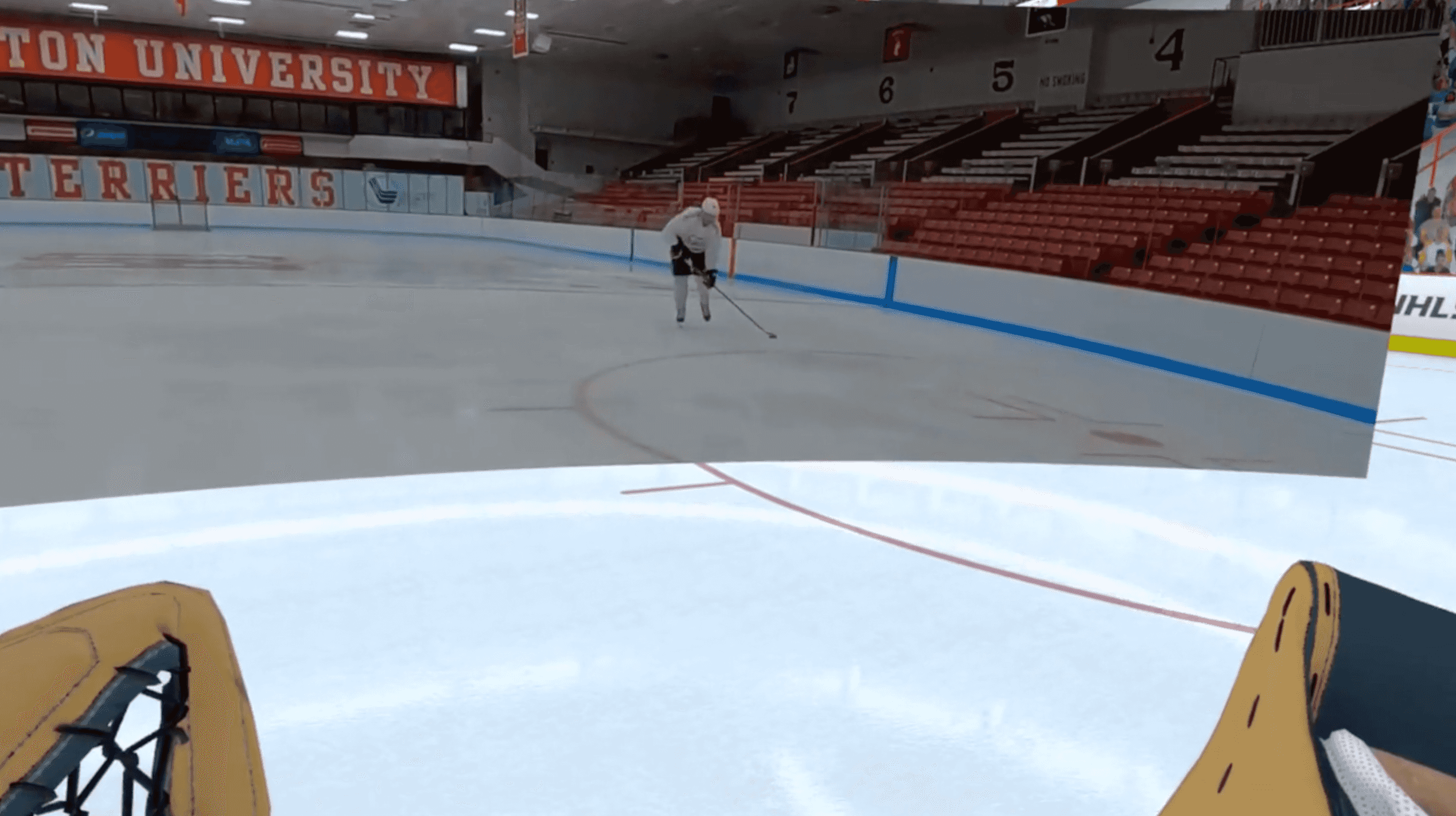 Pro Skate and shoot cover image