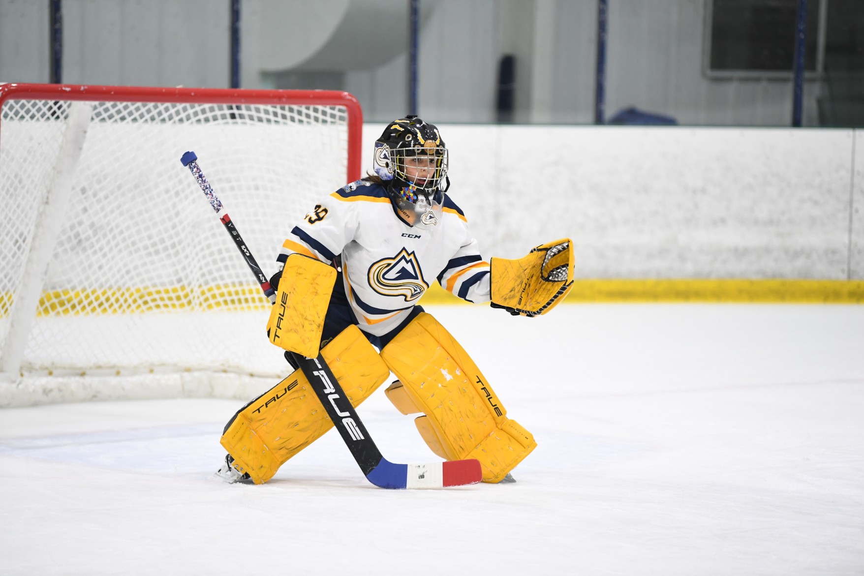 The Parent’s Perspective: What Hockey IQ Looks Like on the Ice, and How Players Can Train It cover image